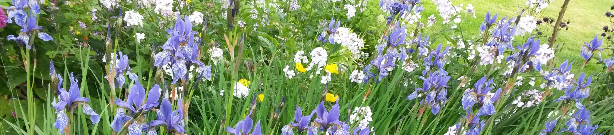 Broughton House Garden, Kircudbright, Dumfries & Galloway, Scotland