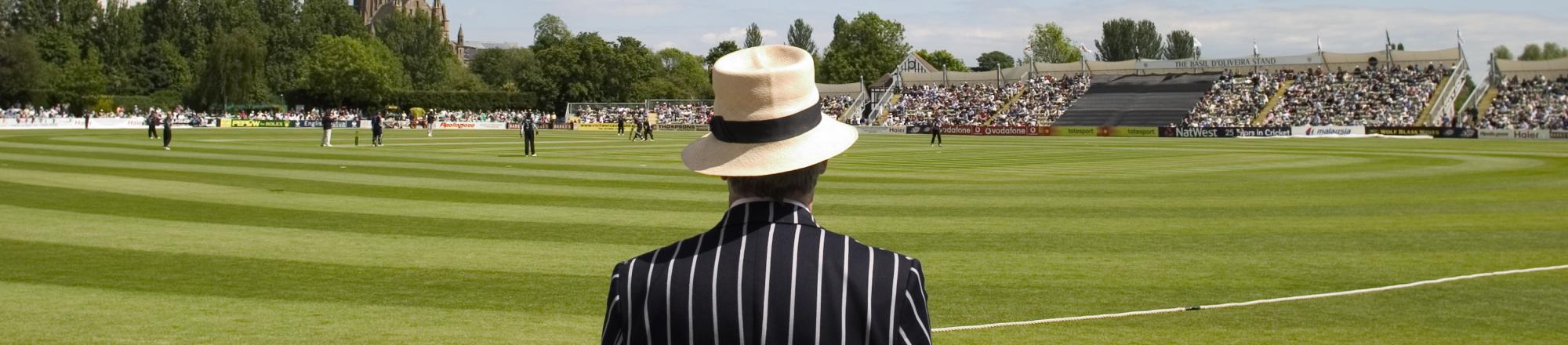 Cricket Umpire