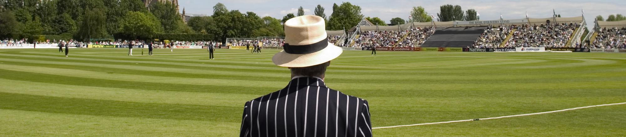 Cricket Umpire