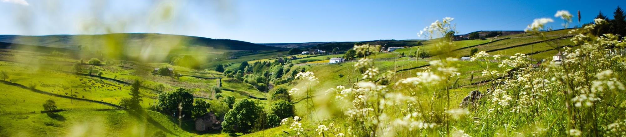 The Dales, County Durham
