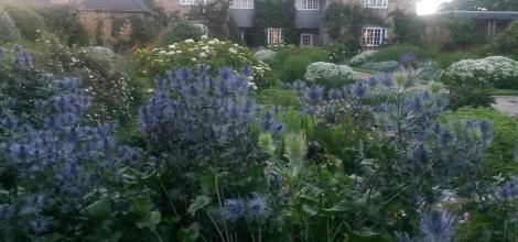Thistle at Greywalls, Muirfield, Edinburgh, Scotland