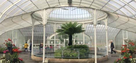Kibble Palace, Glasgow Botanical Gardens