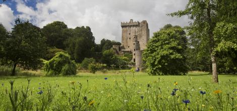 Blarney Castle, Ireland