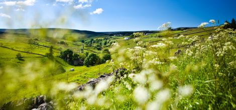 Durham Dales