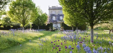 Highgrove House Meadow