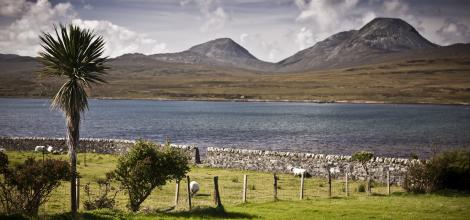 Paps of Jura Paps of Jura