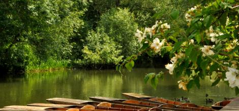 Punts, Oxford