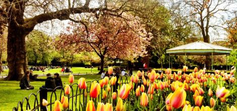 St. Stephen's Green, Dublin St. Stephen's Green, Dublin