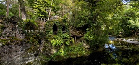 Trollymore Forest Park, Northern Ireland Trollymore Forest Park, Northern Ireland